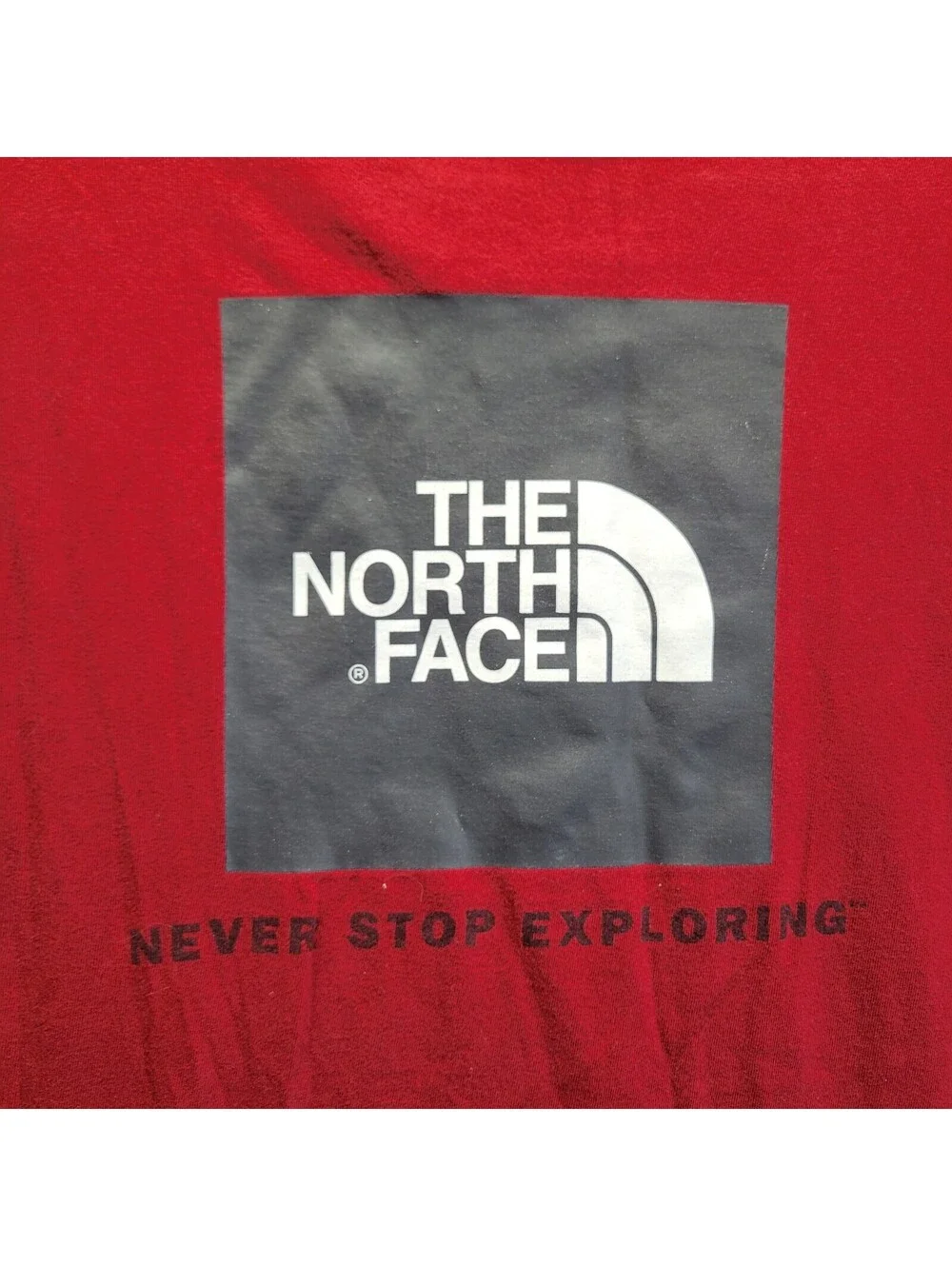 The North Face north face